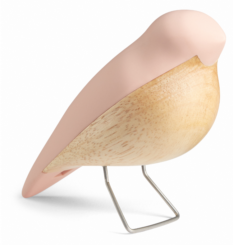 Aviendo The Nightingale - Rose Cloud NG026