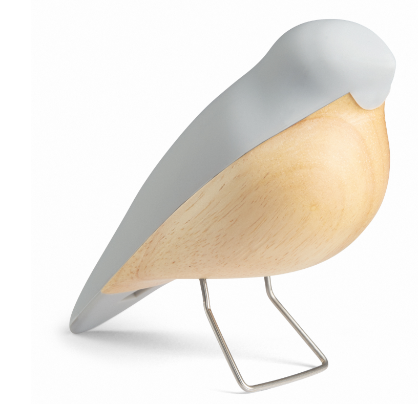 Aviendo The Nightingale - Cool Grey NG022