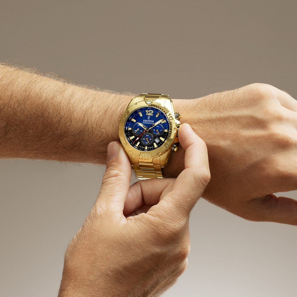 Festina Timeless Chronograph F20684/2 