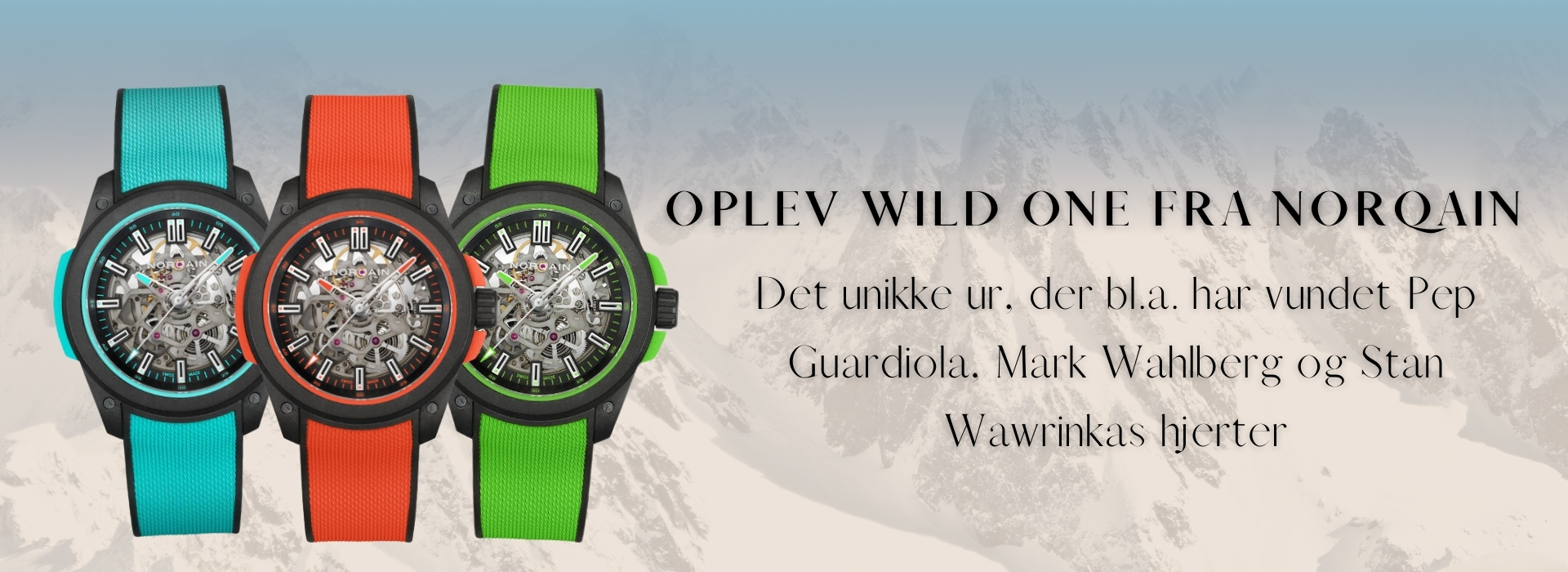 Januar bannere 2025  (10)_(1)