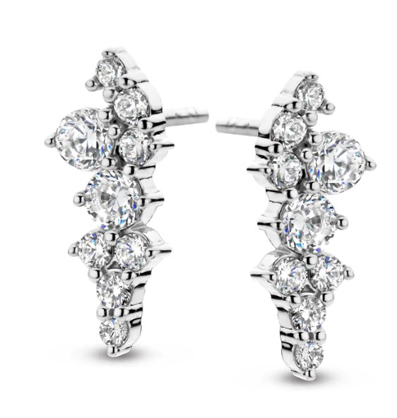 Spirit Icons Joy Øreringe Sølv 41921