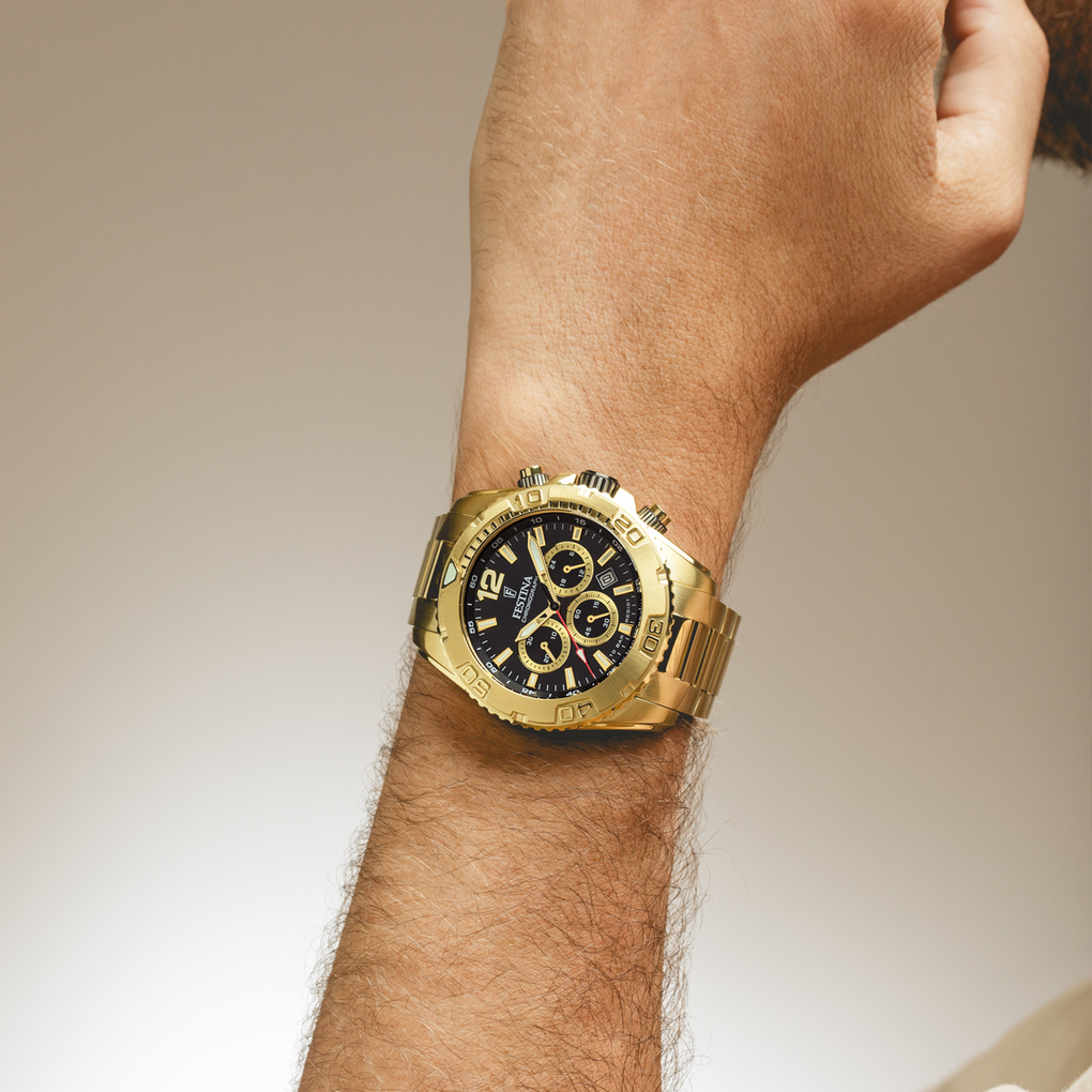 Festina Timeless Chronograph F20684/4 