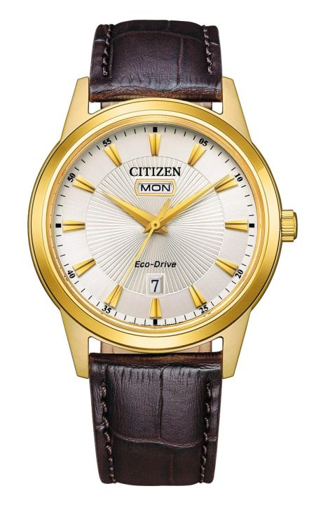 Citizen Classic Elegant EcoDrive Ur AW0102-13A