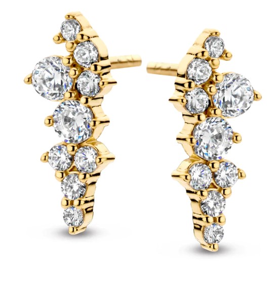 Spirit Icons Joy Øreringe Forgyldt 41922