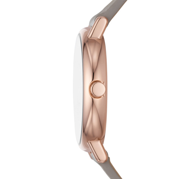 Skagen Ur Signatur SKW3060